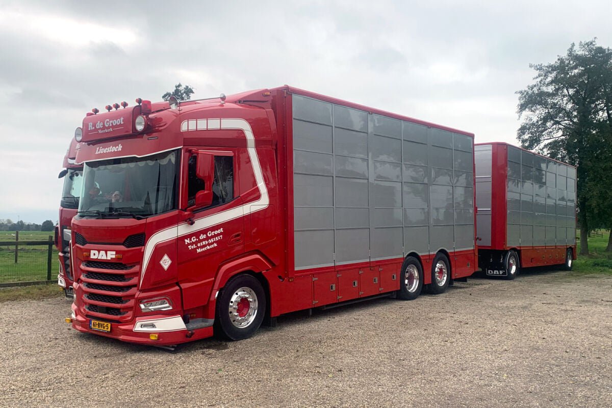 N.G. de Groot; DAF XF SH WITHOUT SKY LIGHTS 6X2 TAG AXLE RIGED TRUCK DRAWBAR WITH RESIN BODY - 5 AXLE - Celt Models